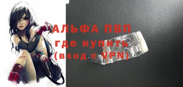 гидра Новодвинск